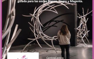 Visita guiada a la exposición de Mar Solís “Origen”