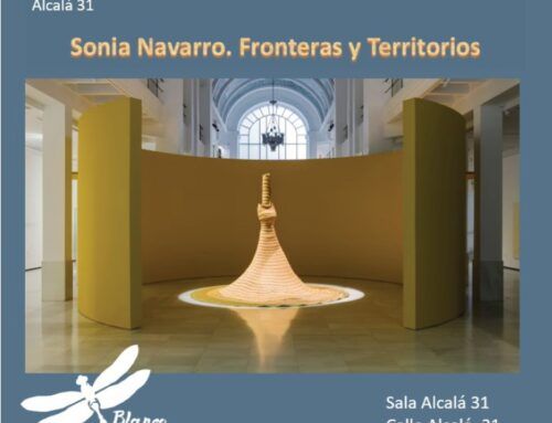 Visita guiada a la exposición “Sonia Navarro. Fronteras y territorios”