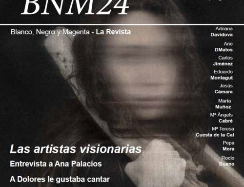 BNM – Revista Nº 24