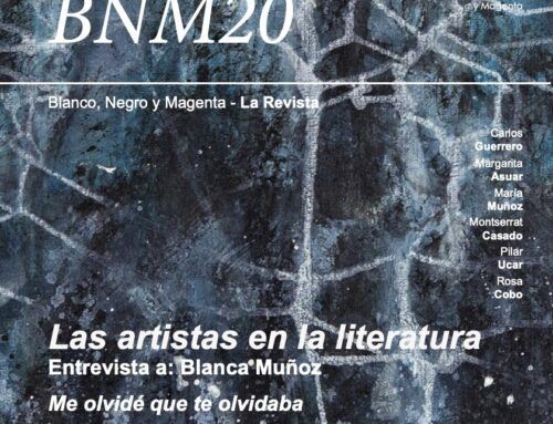 BNM – Revista Nº 20
