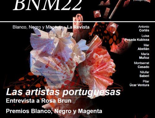 BNM – Revista Nº 22