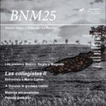Revista Nº25