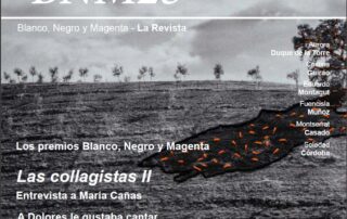 Revista Nº25