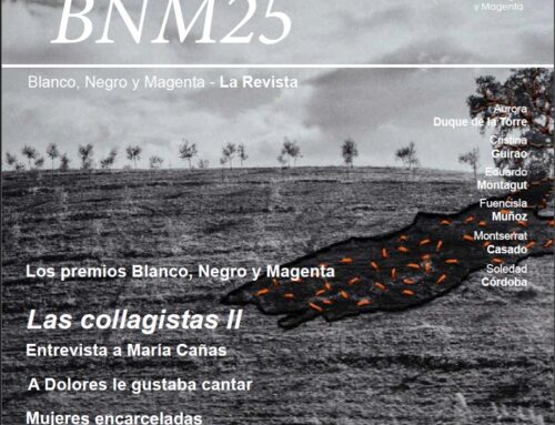 BNM – Revista Nº 25