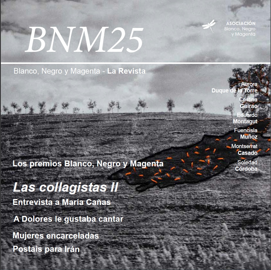 Revista Nº25